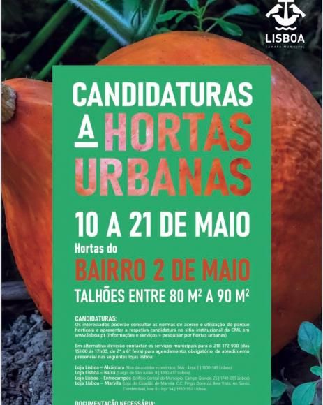 HORTAS URBANAS | BAIRRO 2 de MAIO