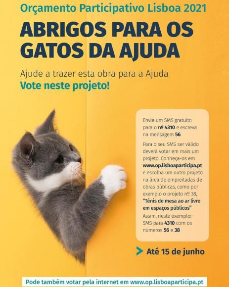 Orçamento Participativo 2021 - Abrigos para os gatos da Ajuda