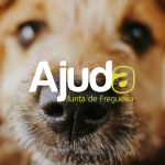 Masterclass Salsation - Evento Solidário